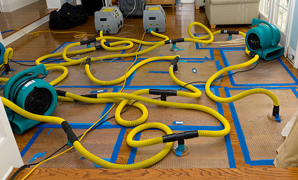 Professional Basement Flood Cleanup technician working in Chatfield, TX